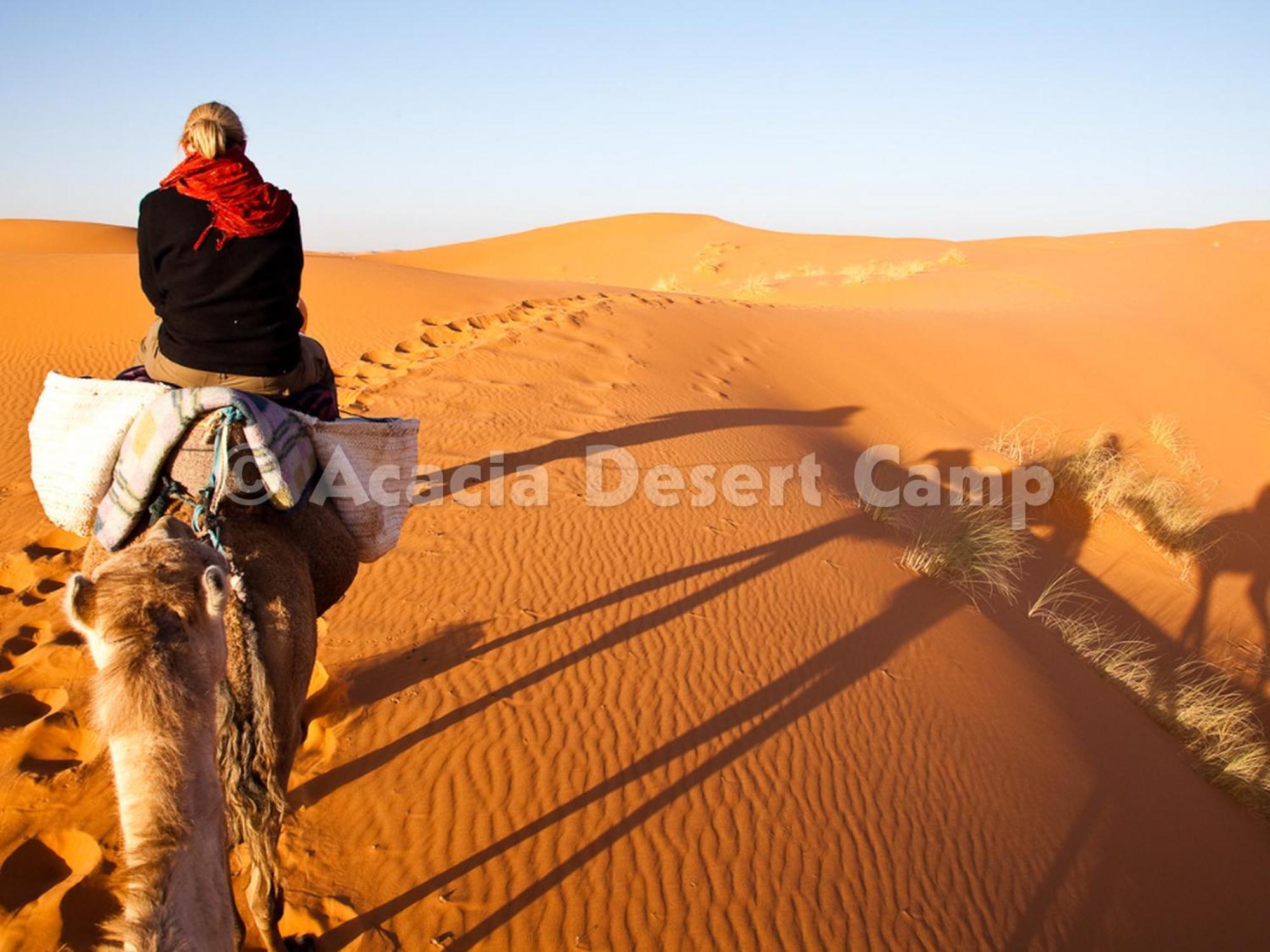 Acacia Desert Camp Hotel เมอร์ซูกา ภายนอก รูปภาพ