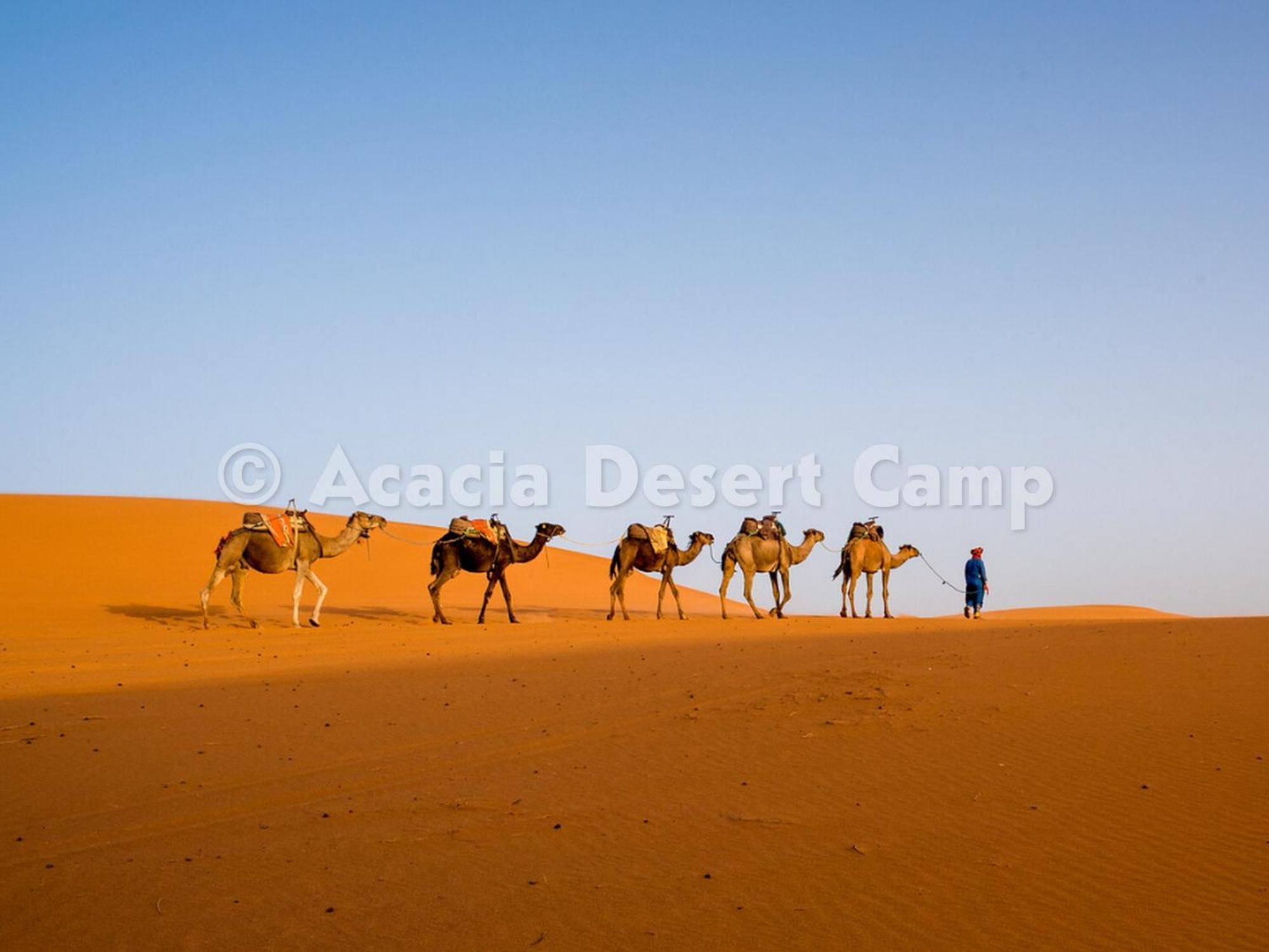 Acacia Desert Camp Hotel เมอร์ซูกา ภายนอก รูปภาพ